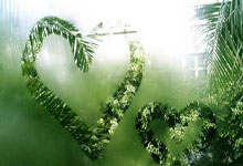 雷竞技-Ming回归赛场，爆冷首场状态亮眼，塞尔维亚队观众沸腾！的简单介绍