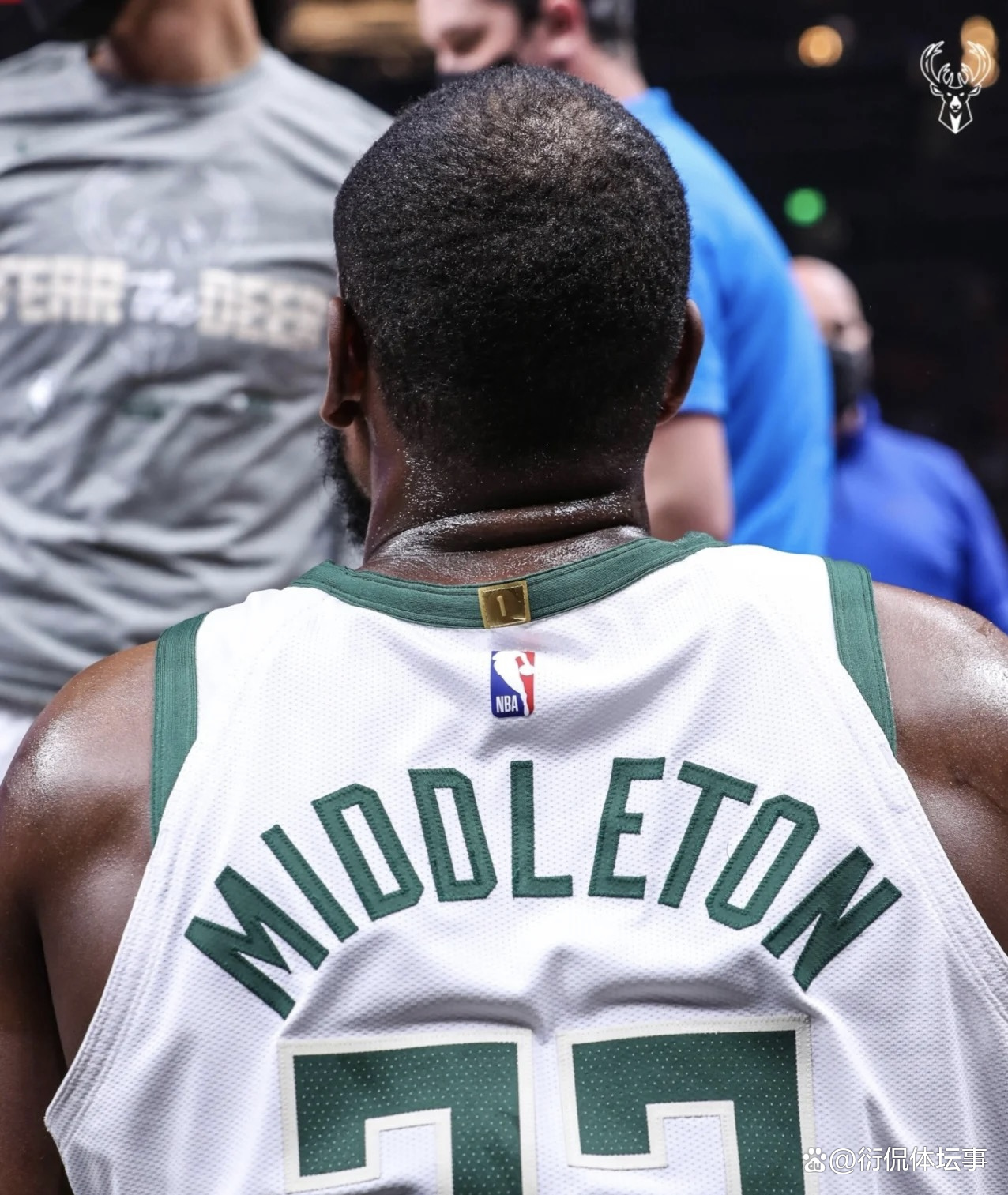 包含河套雄鹿队击败钱塘雄鹿队，举重锦标赛上演裁判判罚引热议！豪门底蕴再次显现的词条