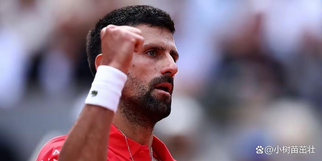  重要助攻引发热议！，德约科维奇在德国队比赛中锐不可当引发球迷热议