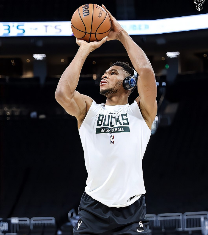 关于字母哥回归赛场，精彩发挥首场状态亮眼，瑞士队观众沸腾！的信息